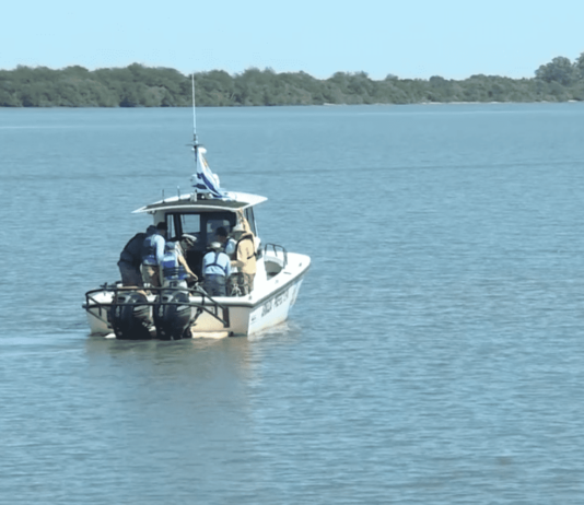 Fray Bentos quiere ser salida al mar de celulosa paraguaya; Lafluf le pidió al presidente Lacalle que agilice las gestiones