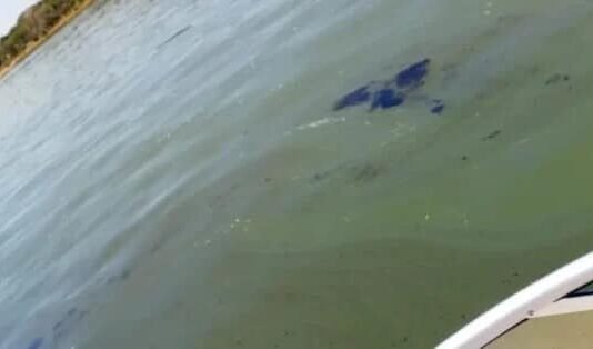 Remolcador derrama combustible en el río Paraná tras sufrir una avería en uno de sus tanques