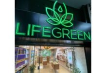 Vertiginoso crecimiento de la industria del cáñamo en Paraguay