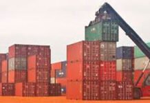 En un puerto privado incautan autopartes robados en España