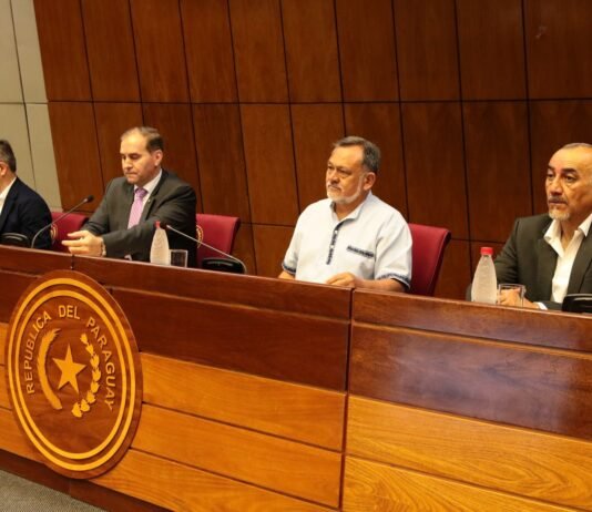 Durante audiencia pública debaten sobre el “Plan maestro hidrovía Paraguay-Paraná”