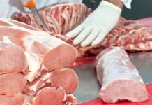 Carne porcina: el mercado de Taiwán representa un potencial ingreso de US$ 250 millones