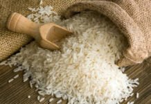 Uruguay sondea la posibilidad de exportar arroz a Japón