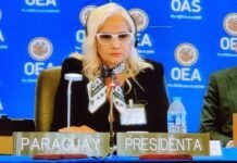 Senad asume por primera vez presidencia del observatorio de drogas de la OEA