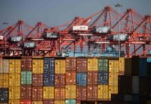 Países Bajos apoyaría transición de puertos marítimos en A. Latina