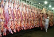 En Uruguay destacan histórica exportación de carne bovina paraguaya
