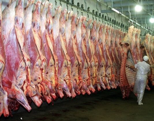 En Uruguay destacan histórica exportación de carne bovina paraguaya