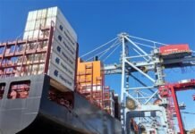 Puerto de Montevideo marca hito histórico al movilizar más de un millón de TEUs en lo que va del año