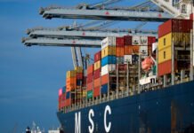 Uruguay alcanza un máximo histórico de exportaciones en 2022 de más de US$ 13 mil millones