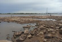 Crítica bajante del río Paraguay se refleja con piedras que florecen en pleno lecho