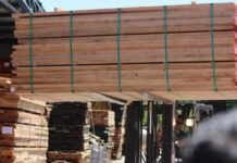 Exportación de productos de madera aumentó 28%