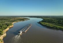 Primer trimestre del 2023 es auspicioso para el sector naviero