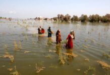 IPCC: el mundo necesita recortar sus emisiones a la mitad antes de 2030