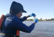 Mortandad de peces: Mades recolecta muestras de agua del río Paraguay