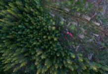 Las principales ONG ecologistas creen que el acuerdo UE-Mercosur «aumentará la deforestación»