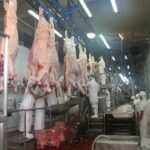 Exportaciones de origen animal alcanzan USD 2.255 millones al cierre de octubre, impulsadas por la carne bovina y porcina