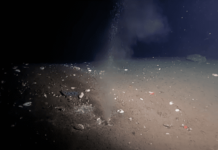 Fuga en el fondo del océano Pacífico podría ser el aviso de un terremoto destructivo