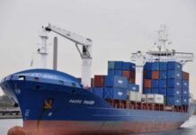 ZIM lanza servicio «Patagonia Express» que conectará EE.UU, Argentina y Brasil