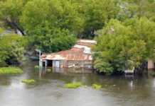 Apurate José, crónica y realidad de los isleños hecha canción