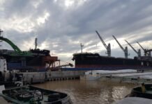 Operan primeros embarques de hierro de origen brasileño en el Puerto de Nueva Palmira