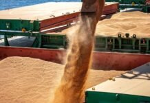 Puertos de Paraná movilizaron más de 30 millones de toneladas durante el primer semestre del año