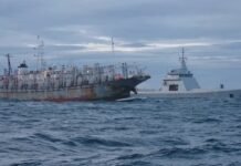 Los barcos chinos incrementaron 800% su pesca en el límite del Mar Argentino en la última década
