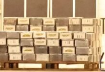 Contenedor detenido en Alemania debió ser reportado y Fiscalía iniciará investigación