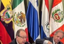Paraguay expuso sobre comercio exterior en “Ciclo Países” de Aladi