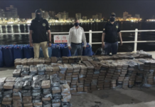 Decomisan en el Puerto de Rotterdam más de 8 toneladas de cocaína procedentes de Ecuador