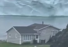 Iceberg llega a la isla canadiense de Terranova