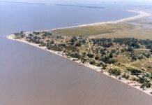 Hidrovía Uruguay-Brasil que apunta al transporte fluvial de cargas del agronegocio necesita dragados y la generación de infraestructuras