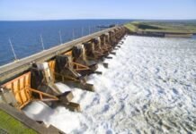 Retiro del 100% de la energía paraguaya de Yacyreta es una medida de “subsistencia”, afirma director