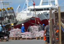 En 8 meses los puertos argentinos recibieron más de 500.000 toneladas de pescados y mariscos