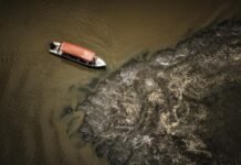Toneladas de peces mueren repentinamente en el Amazonas por la sequía y las altas temperaturas