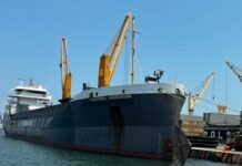 Puerto de Montevideo: ¿Cómo ha logrado mantenerse como el puerto más importante de Uruguay?