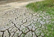 La Amazonía brasileña está sufriendo una sequía extrema