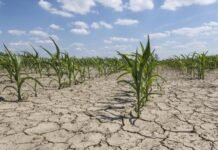 Científicos coinciden que 2023 será el más cálido de los últimos 125 mil años