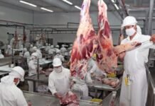 Con apertura de mercado de EE.UU, Paraguay intensificará el posicionamiento mundial de su carne bovina