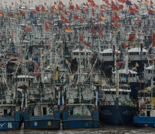 Alerta en el Mar Argentino, más de 400 barcos pesqueros desafían la Zona Económica Exclusiva