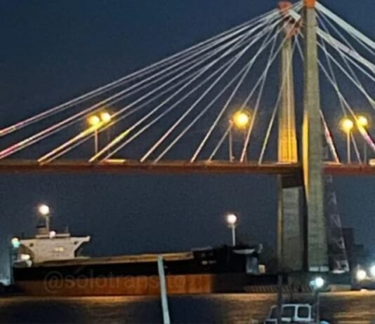 Prohíben vehículos de carga terrestre en el puente Zárate Brazo Largo