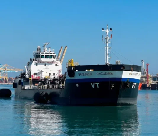 Biocombustibles para descarbonizar los mares, claves en la transición energética