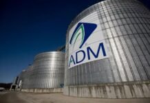 ADM, el gigante agrícola, cae un 24% en Bolsa tras una investigación sobre prácticas contables