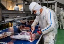 Taiwán se consolida como el primer destino de la carne porcina paraguaya, en el 2023
