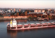 Hay cinco buques varados debido a bajante del río Paraná