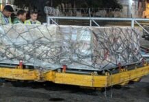 Éxito ganadero paraguayo: partió la primera exportación de suero fetal bovino a Gran Bretaña