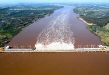 CTM rescindió contrato a uruguayos investigados por millonaria estafa