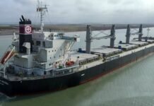 Argentina: Liberan a granelero que varó en el kilómetro 338 del río Paraná