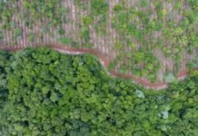 «Cambio climático requiere medidas rigurosas, pero al mismo tiempo justas» sostiene Peña