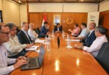 Fepama presentó plan de desarrollo forestal y planea exportar por USD 100 millones este año