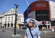 Probablemente el 2024 será aún más caluroso que el decenio previo, alerta la ONU